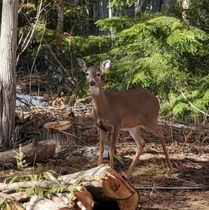Meet your Posher, Julie
